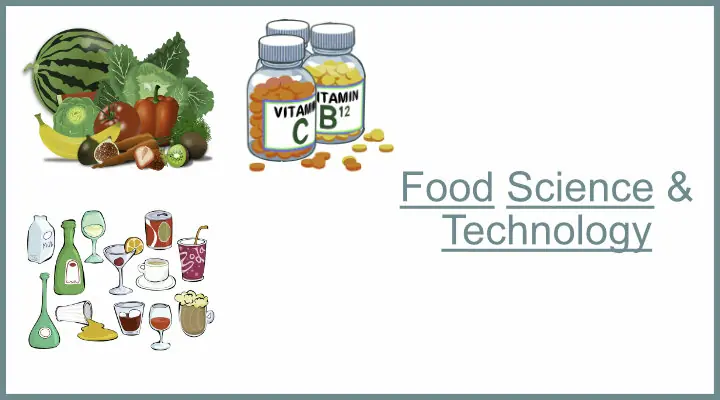 Various fruits, vegetables and vitamins taken by humans.