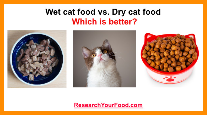 Wet Cat Food Vs Dry Cat Food Which Is Better Research Your Food